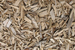 biomass boilers Brompton On Swale
